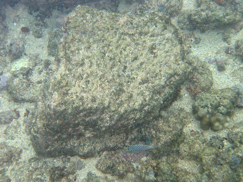 Picture 030